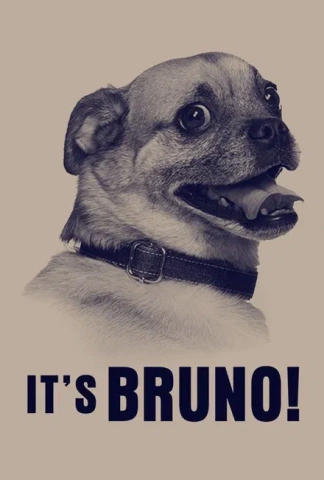 It’s Bruno!